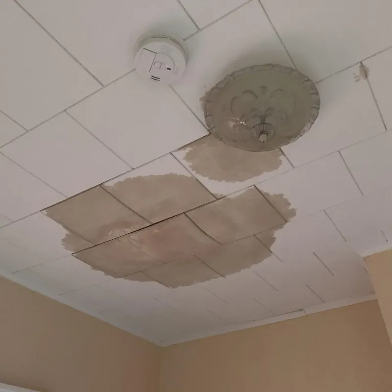 Ceiling Water Damage Repair in Garwood, NJ